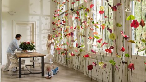 Original window decoration: Anthurium flower curtains - Bloomifique