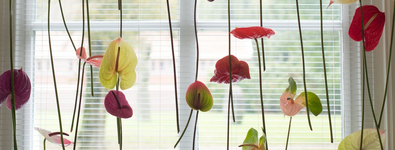 Anthurium curtain window decoration
