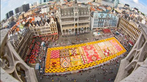 Flower carpet Brussels