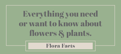 Flora Facts