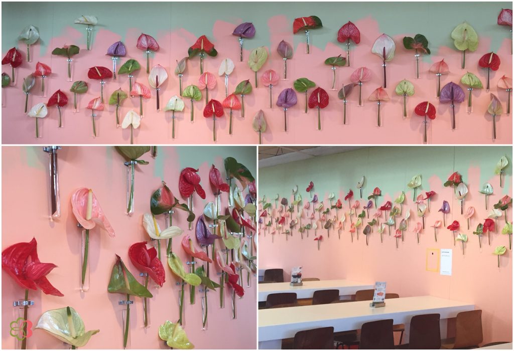 Flourishing anthurium wall at the VT wonen en design beurs 2016