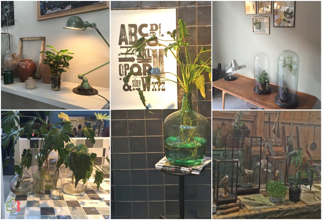 Green remains hot and roots are allowed to be seen  | spotted at the VT wonen en design beurs 2016