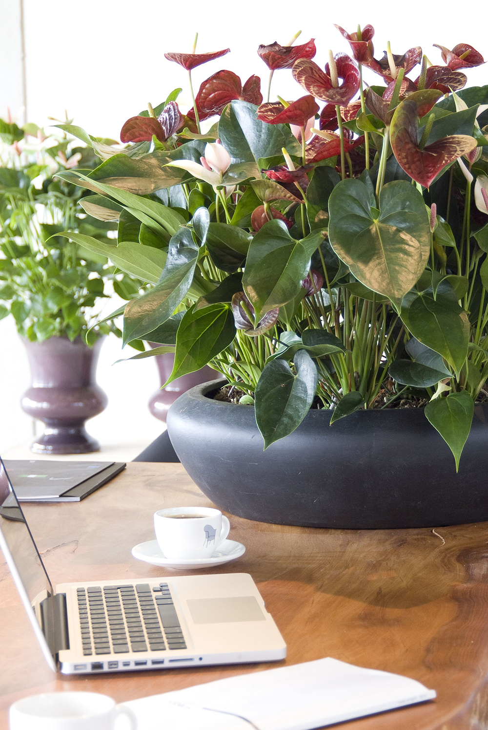 Green at the office tip #1: a plant on every desk.