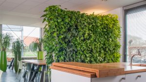 Natural room divider by Zuidkoop Natural Projects