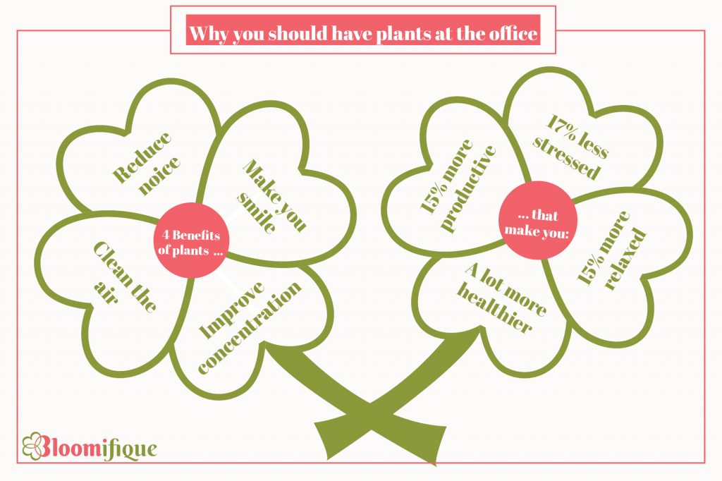 4 reasons to place plants at the office. to become healthier and more productive.