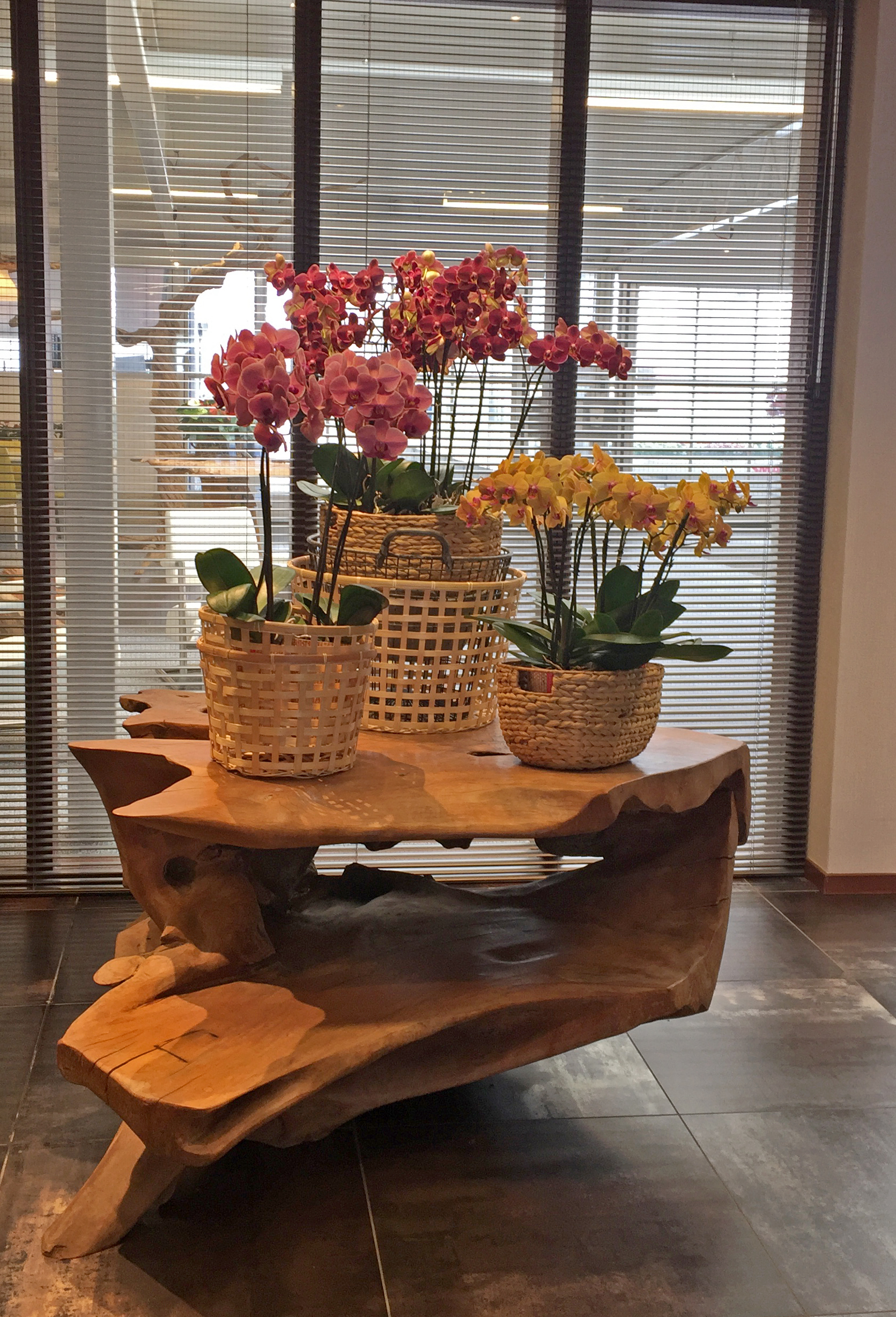 Green at the office tip #2: plants at reception