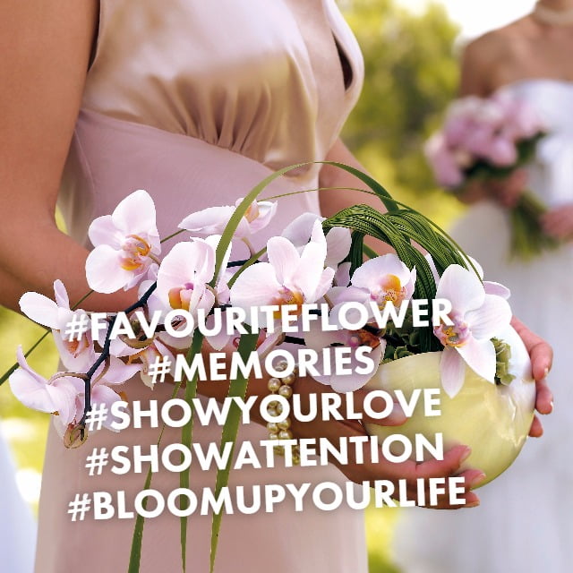 Your favourite flower as a present, who wouldn’t want that? - Bloomifique