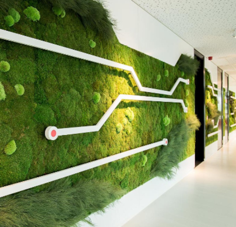 Green wall at Hitachi Data Systems, an IT company in Belgium