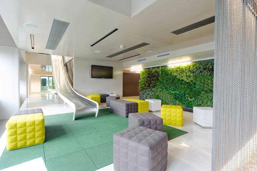 vertical-green-walls-for-office_microsoft