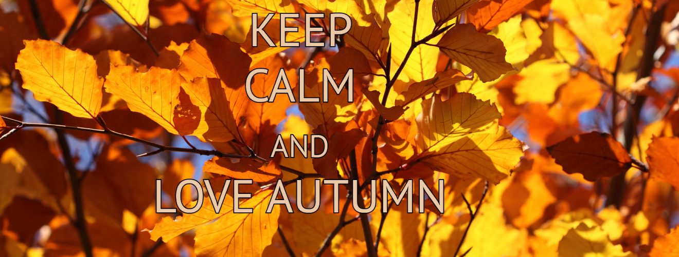 6 tips that make the transition from summer to autumn a little more easy and can help beating autumn blues.
