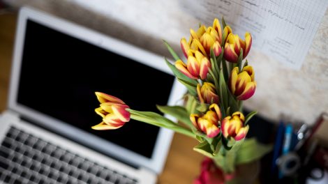 The trick to reduce work stress by bloomifique