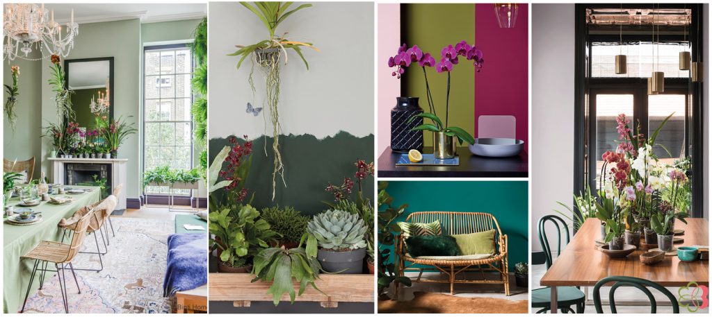 Botanic interior trend new romanticism from flexa colourfutures by bloomifique