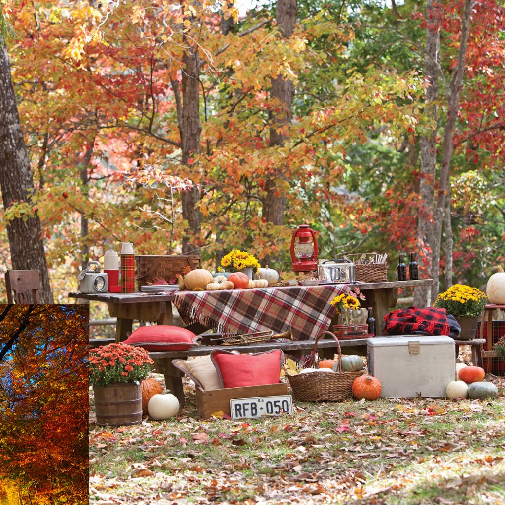 Autumn picnic to beat autumn blues