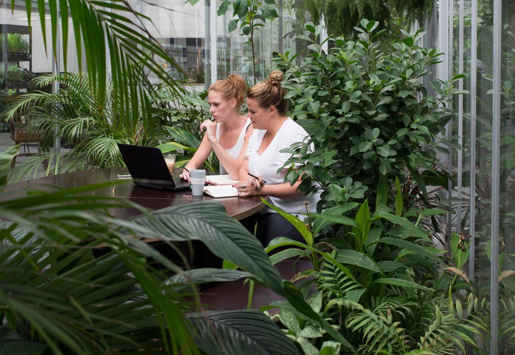 surrounded by green at joolz headquarters amsterdam. Here is why this is great!