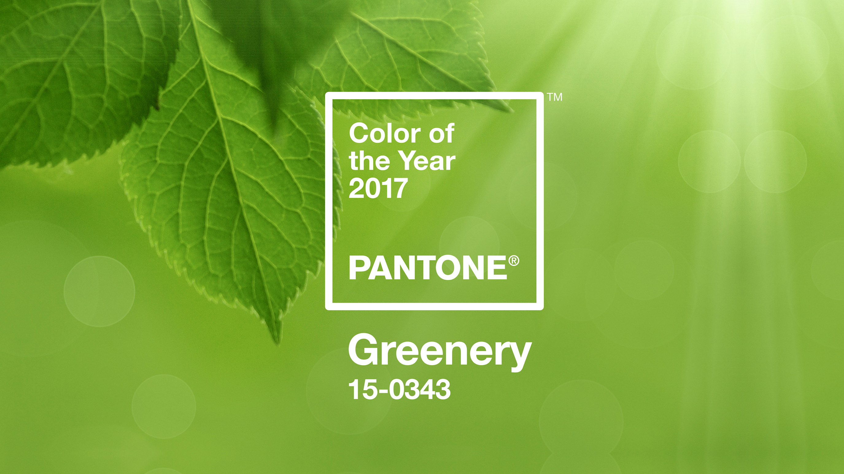 Грин годы. Pantone 15-0343. Pantone 15-0343 зелень / greenery (2017). Пантон 343. Цвет молодой зелени пантон.