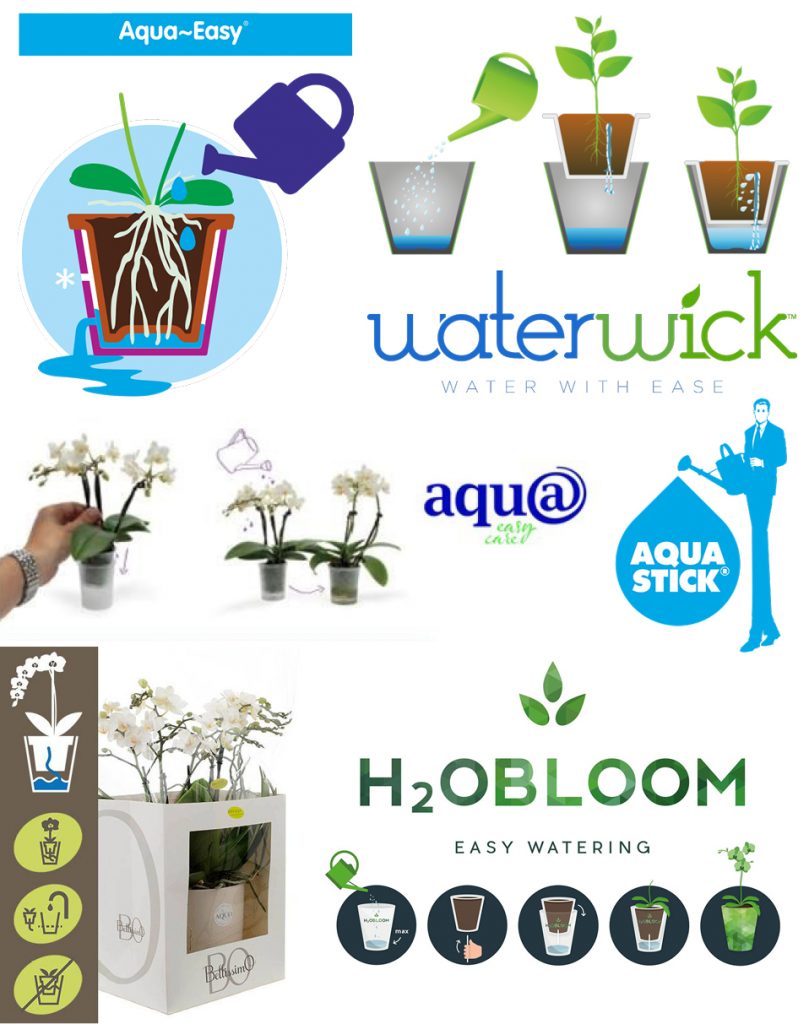 self-watering planters