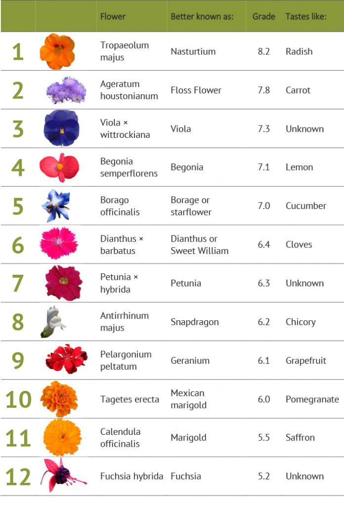 Edible flowers hit chart