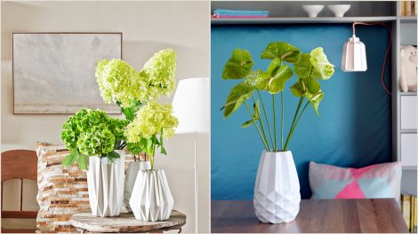 Interior with green flowers for spring