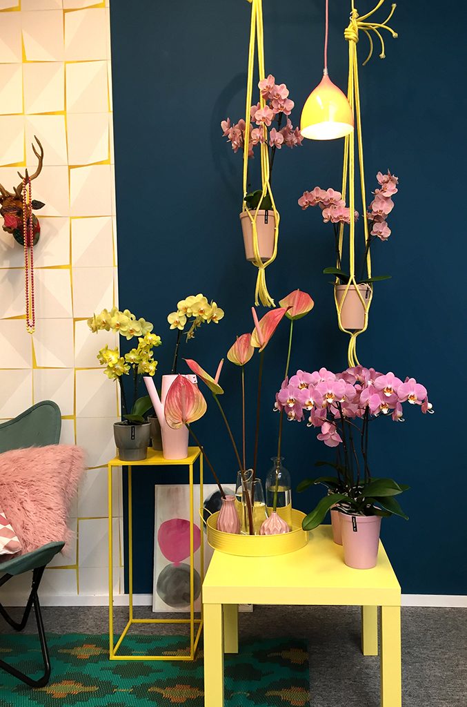 Lente in je interieur met kleur