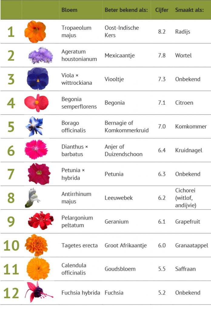 Hitlijst eetbare bloemen