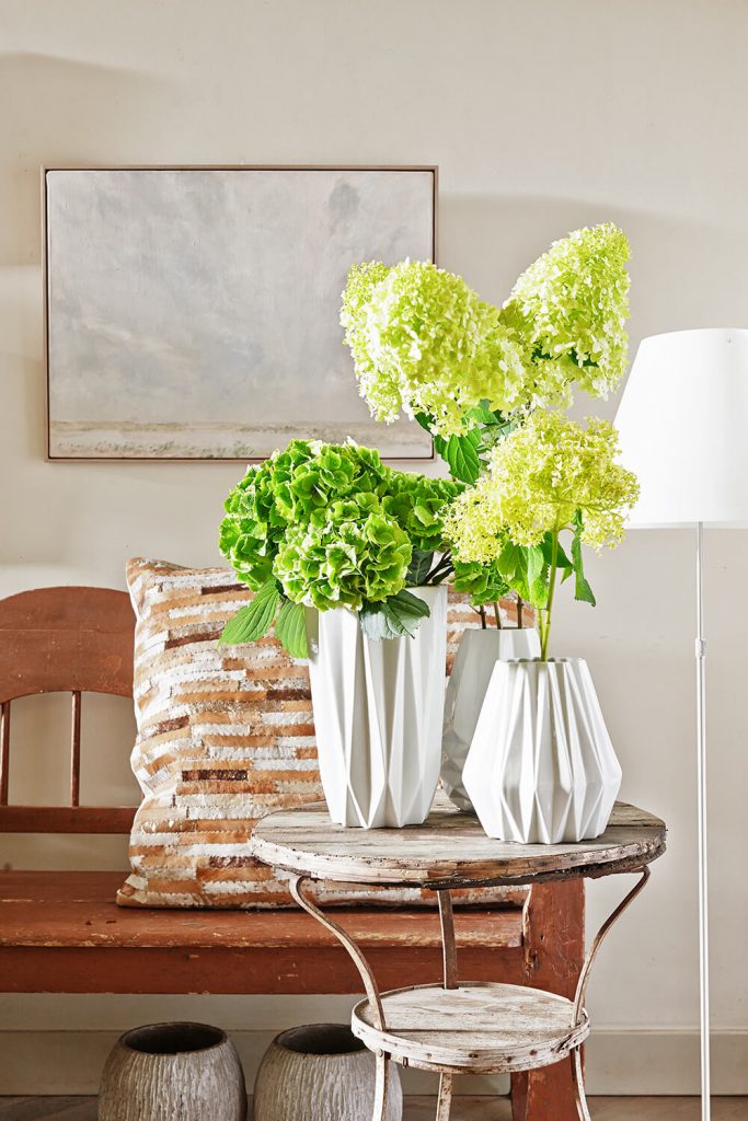 Green Hydrangea for spring | Hydrangea world