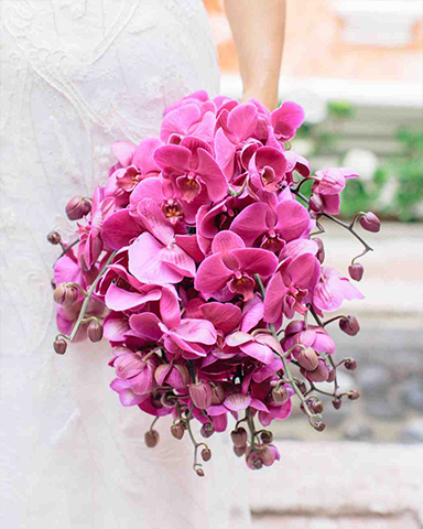 Orchid only srping wedding bouquet bouquet by Matthew Robbins. Picture: Corbin Gurkin