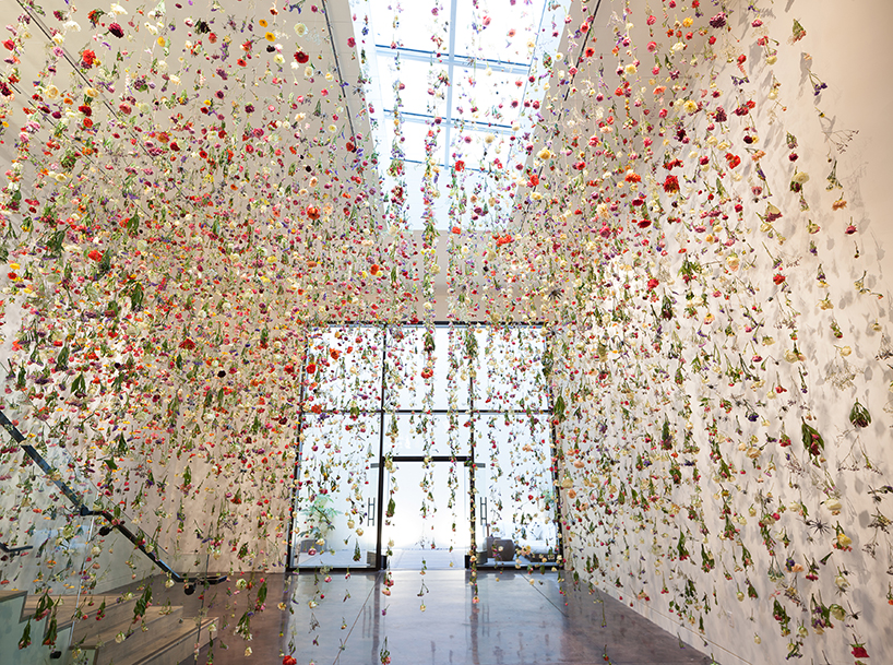 chandran gallery the beauty of decay rebecca louise law