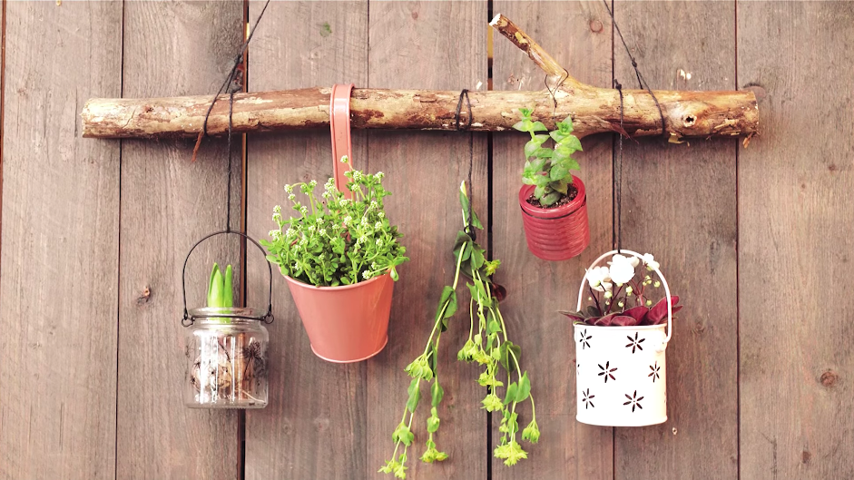 planten wanddecoratie maken