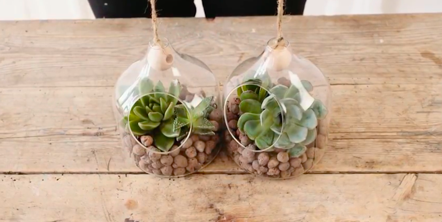 glazen ornament met plantjes maken