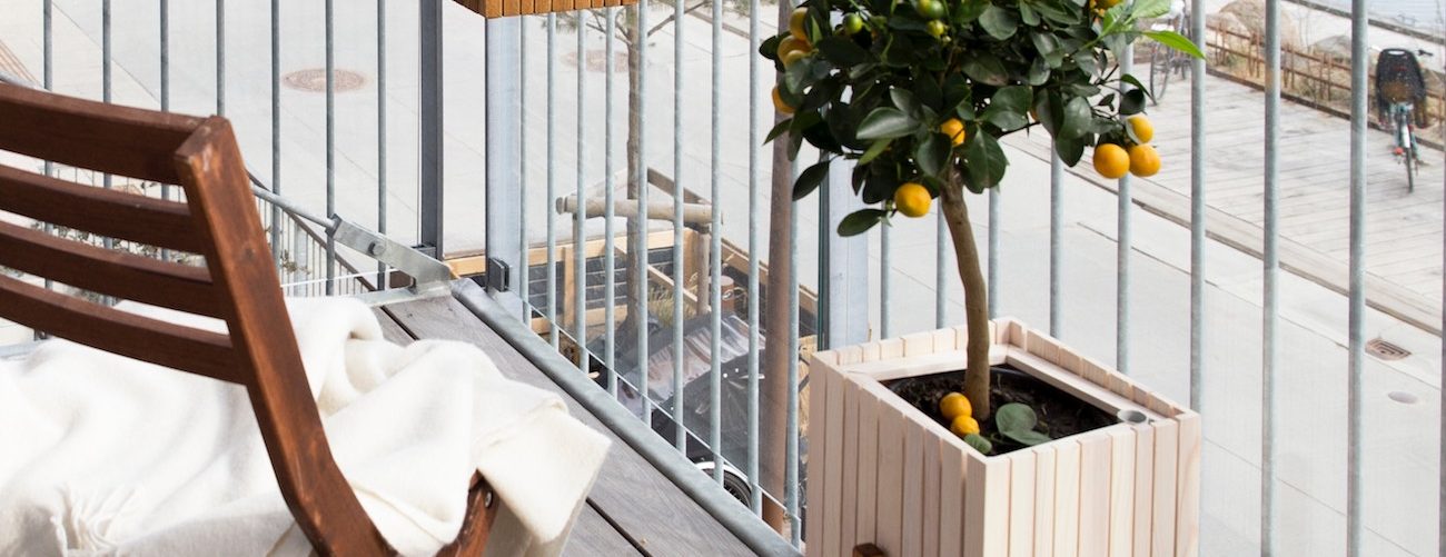How to: grow plants on a balcony