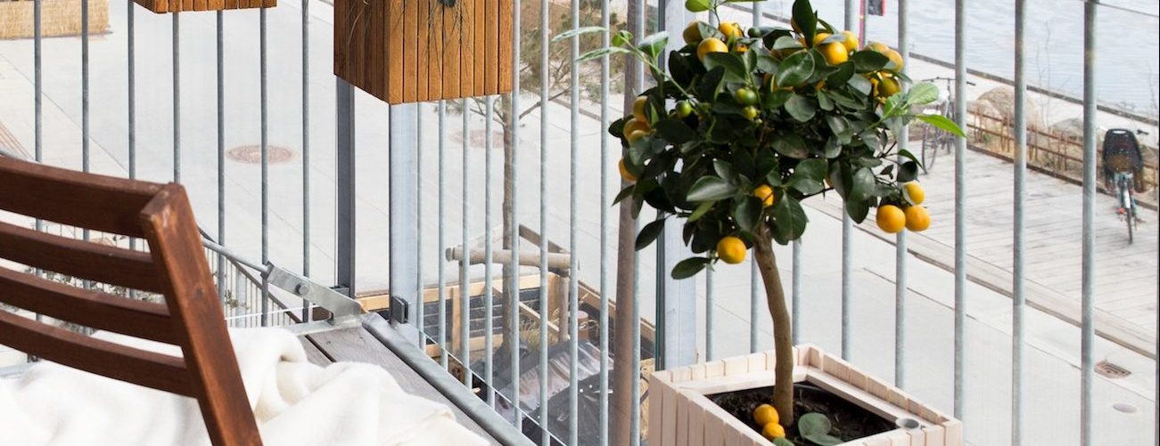 How to: tuinieren op je balkon