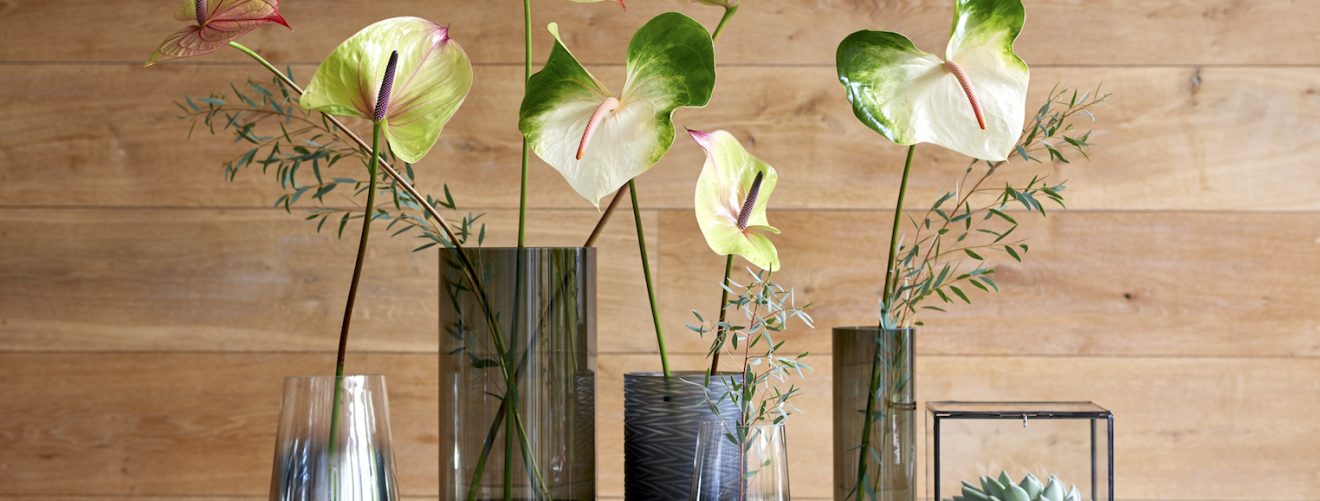 Haal het voorjaar in huis met anthurium planten en bloemen