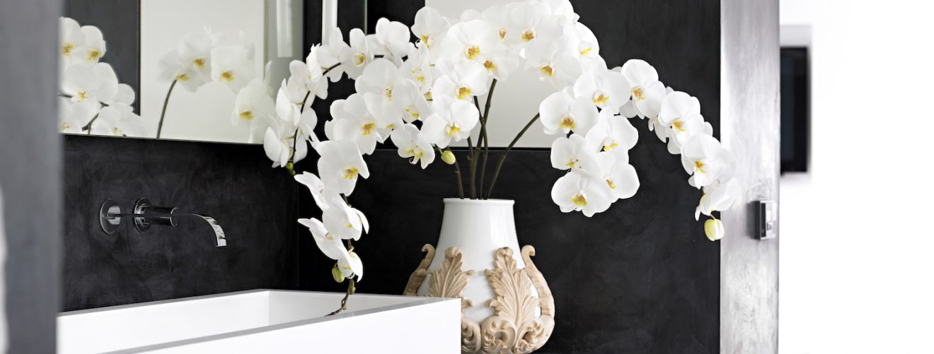 How to use an orchid as a cut flower