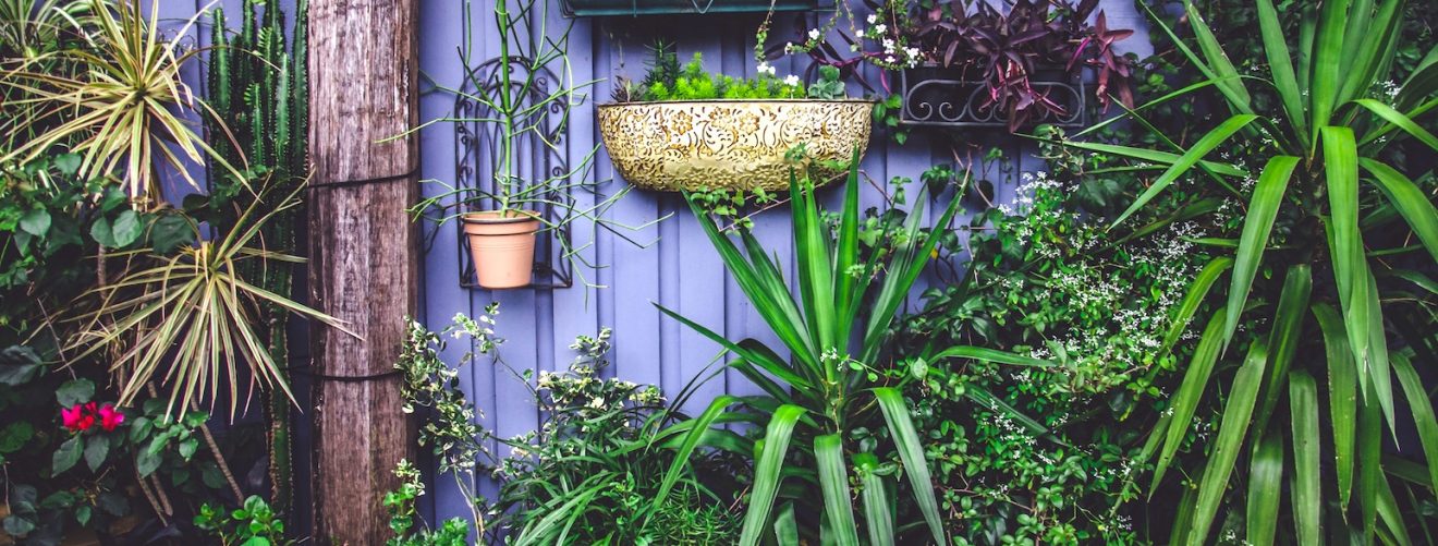 #gardengoals: the most beautiful gardens of Instagram