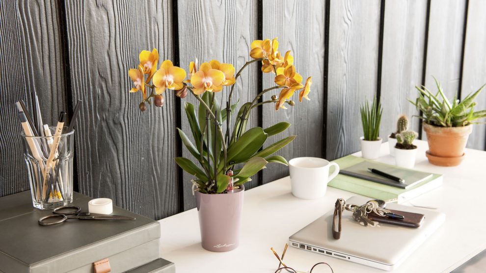3 tips to create a home office you'll love to work in