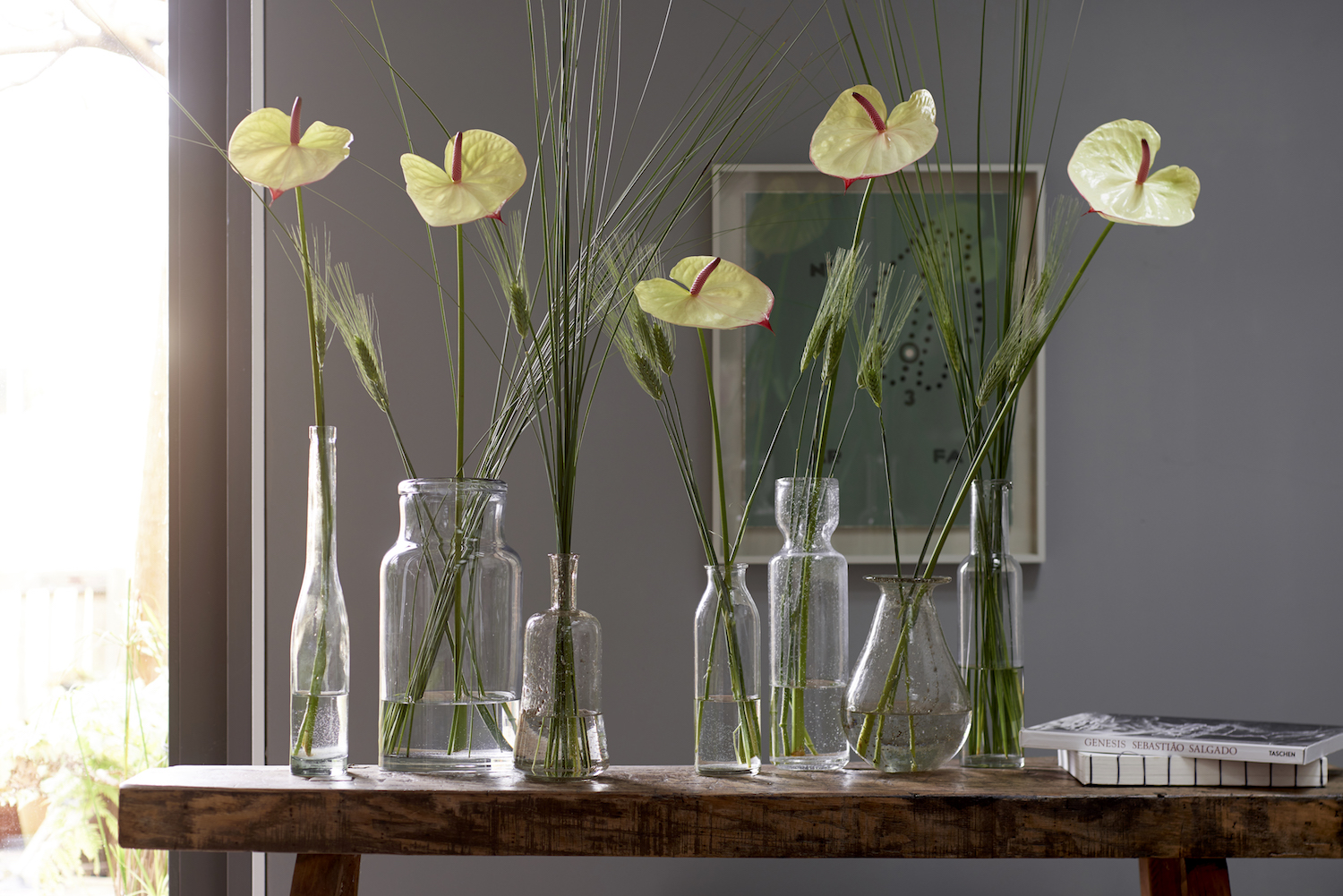 Why flowers wilt faster during the summer + prevention tips