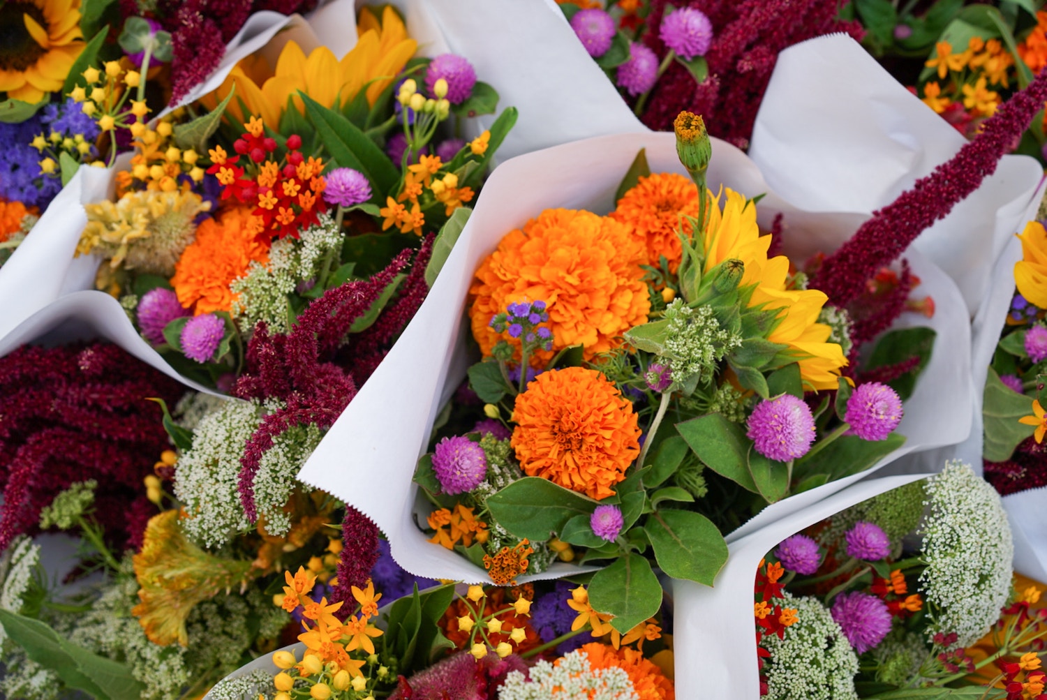 Herfst In Een Vaas Inspiratie Tips Voor Een Herfstboeket   Herfstboeket Inspiratie Tips Bloemen Herfst Boeket Kleuren 