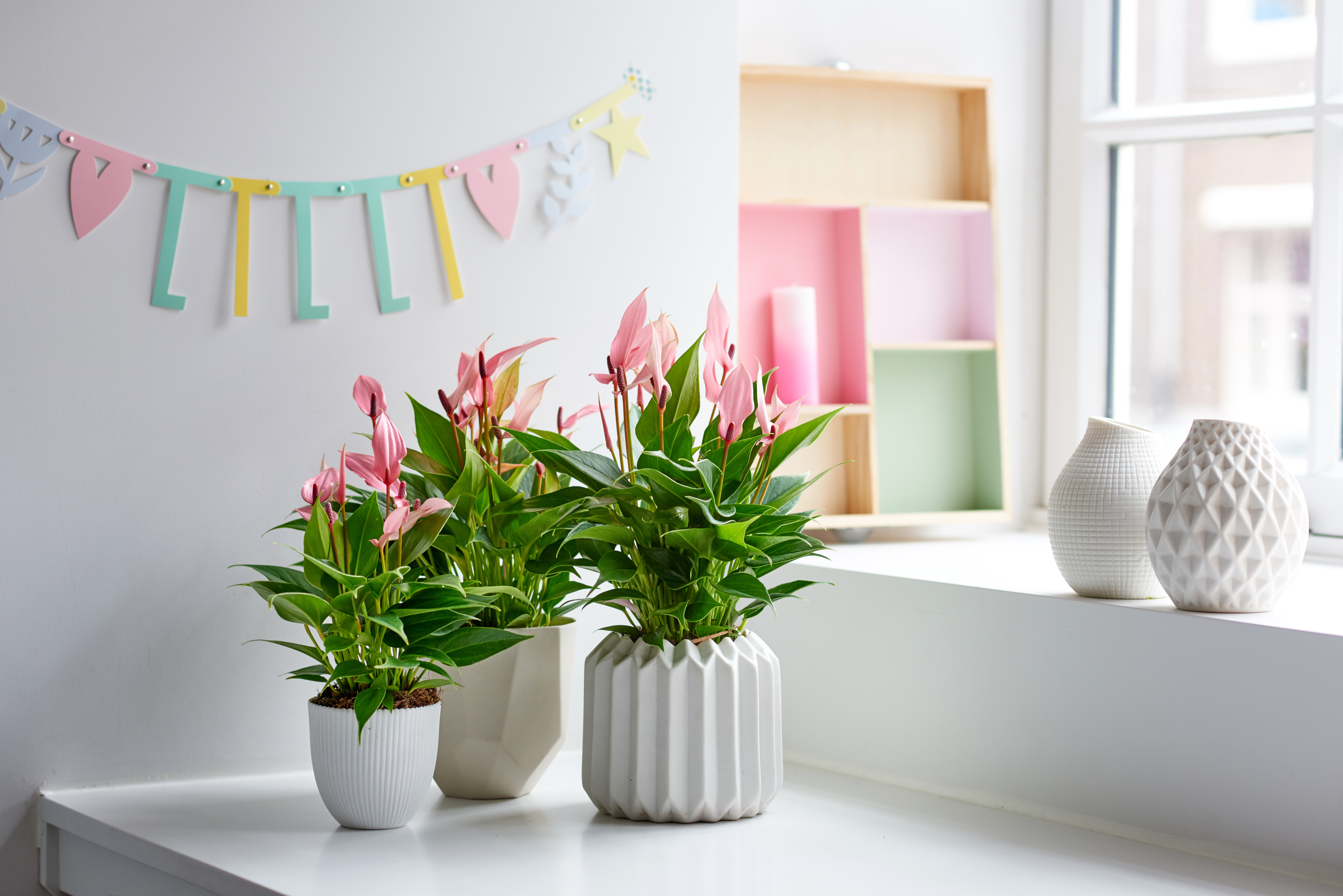 Trend alert: roze planten in je interieur