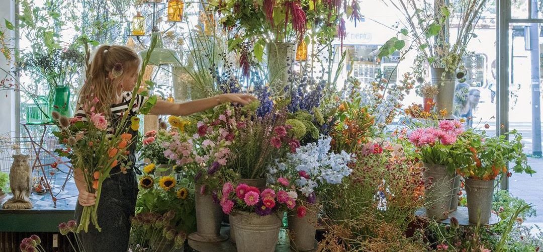 The best urban plant shops in Rotterdam