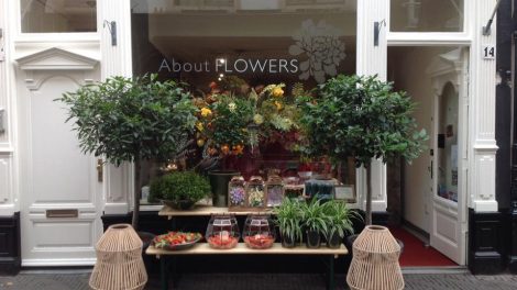 De leukste plantenwinkels in Den Haag