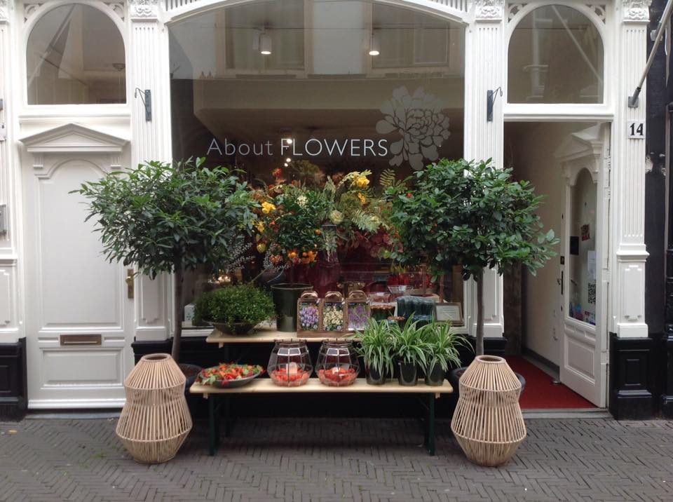gelijktijdig In Beringstraat De leukste plantenwinkels in Den Haag: 5 tips